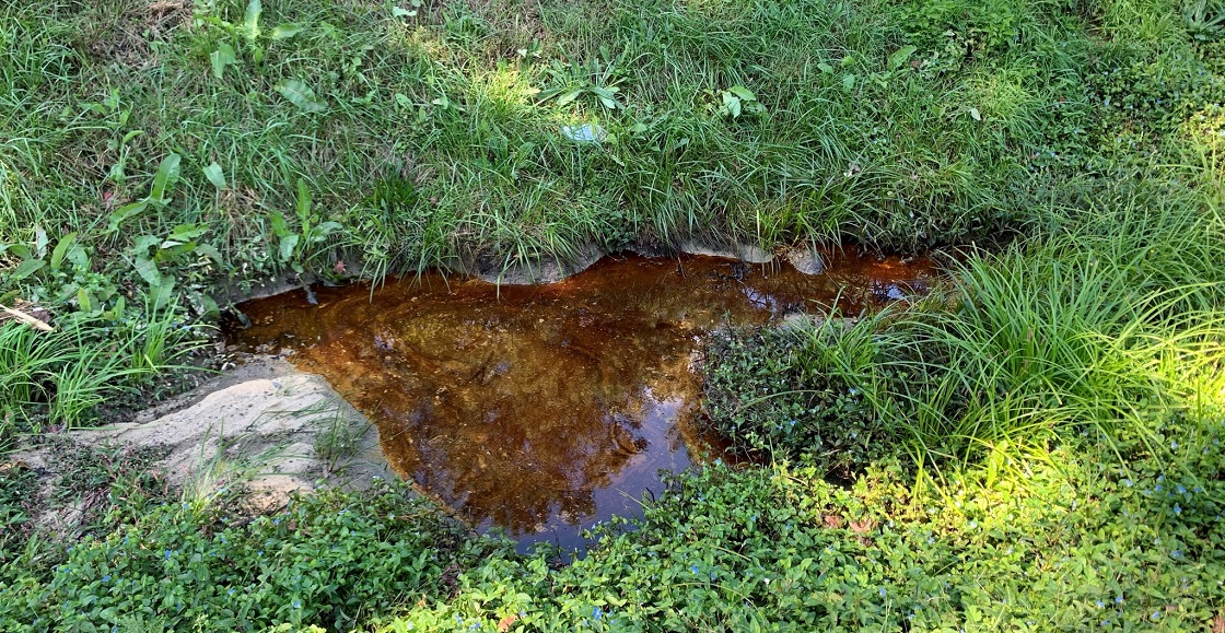 photo of oil dumped into roadside ditch. 