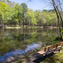 Knightdale Environmental Park