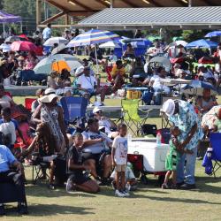 African American Festival