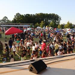 African American Festival
