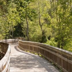 Mingo Creek Trail Bridge