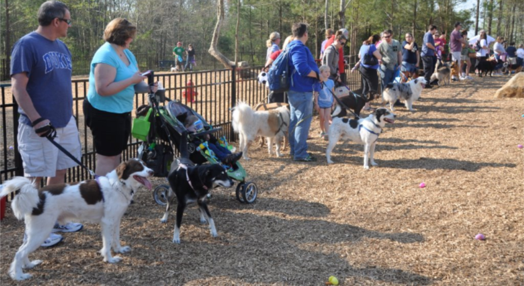 Image of Dog Park 