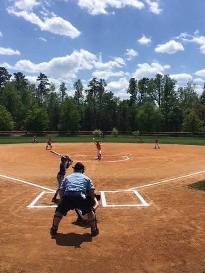Baseball Park Picture