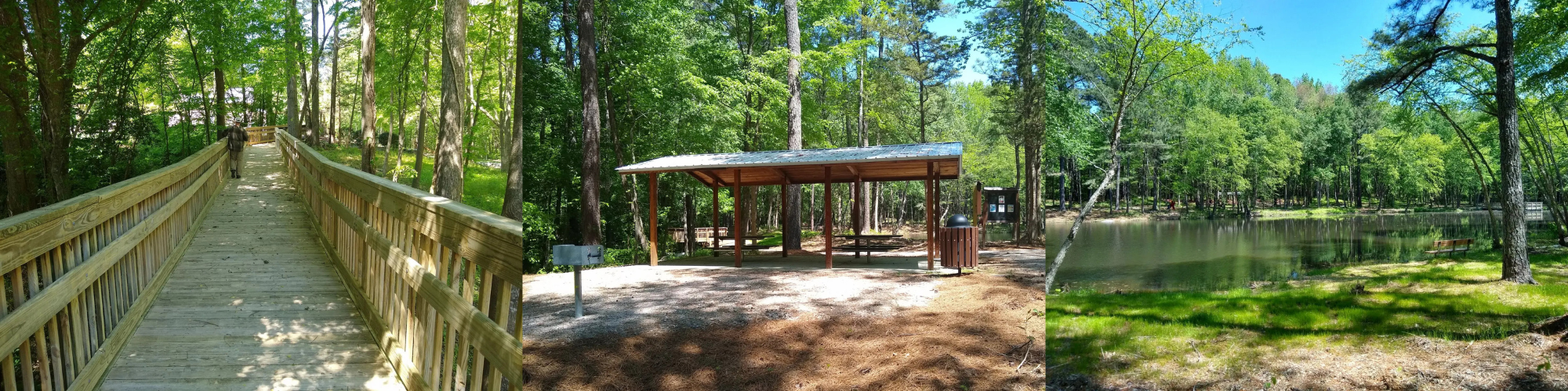 boardwalk, picnic shelter, and pond pictures