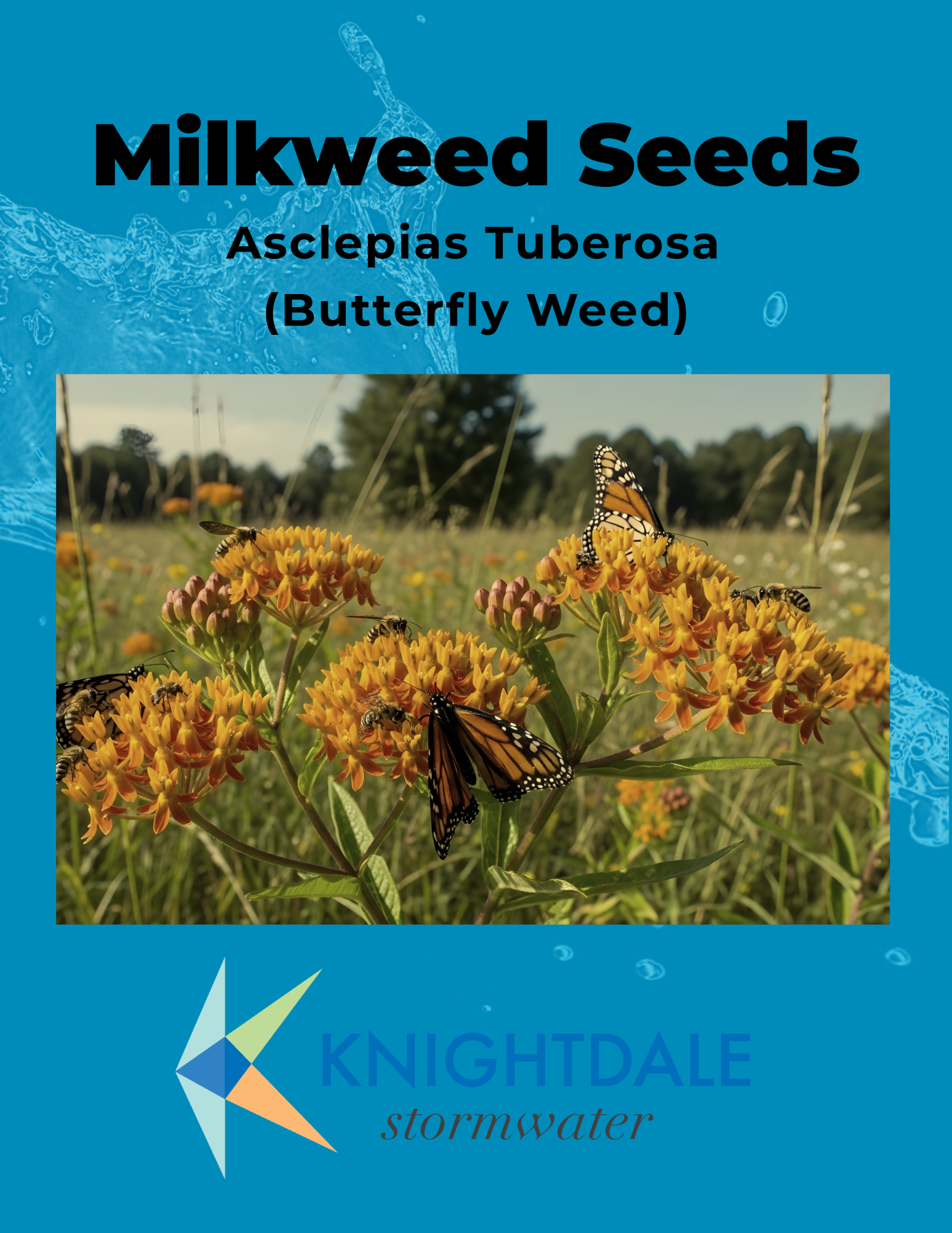 Seed pack for orange Milkweed 