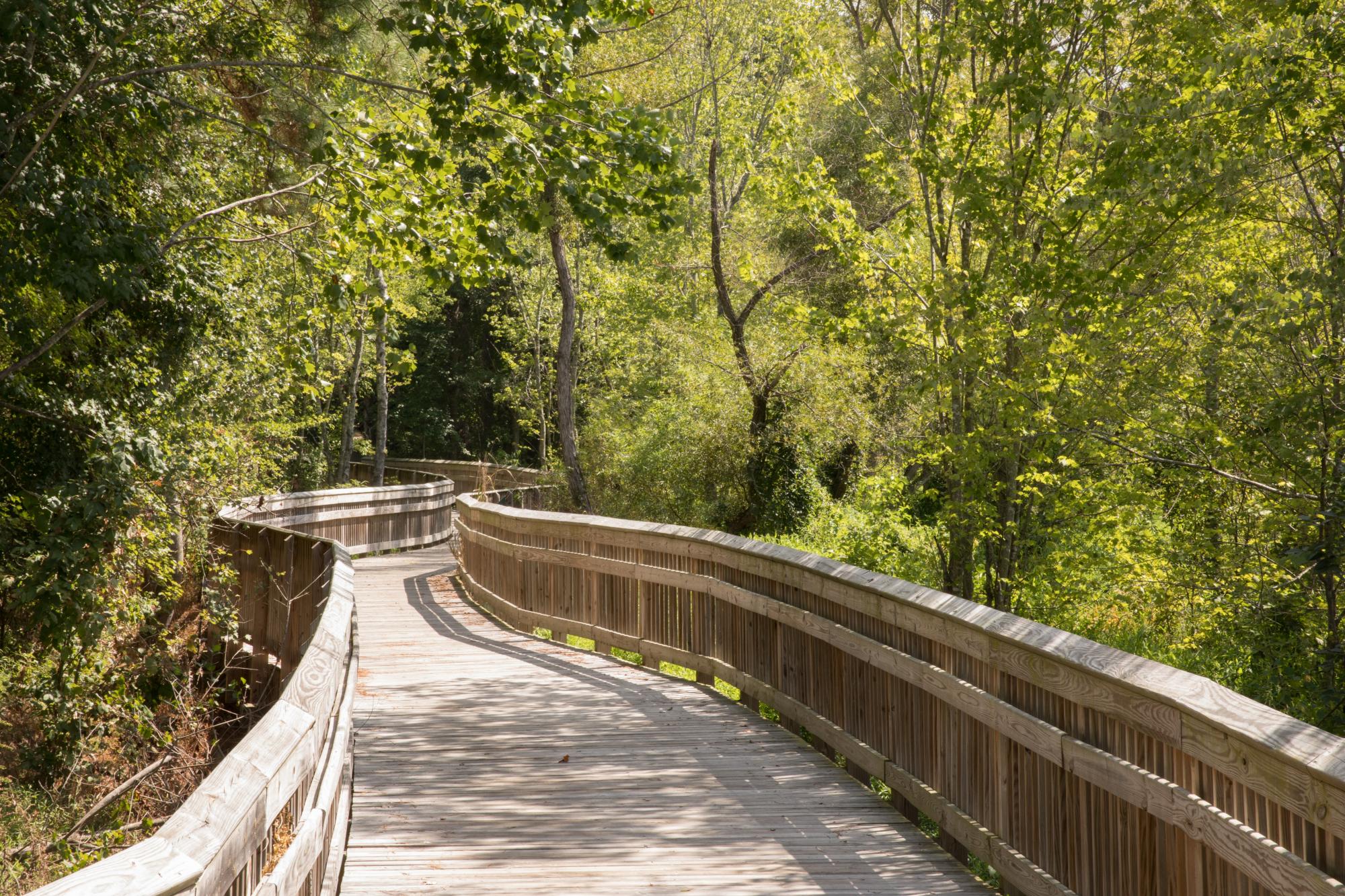 Knightdale Greenway Picture