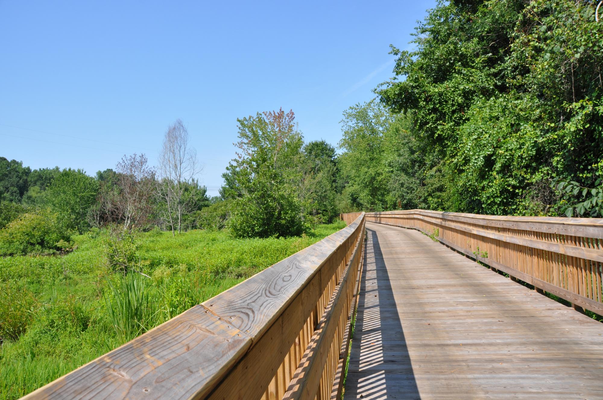 Knightdale Greenway Picture