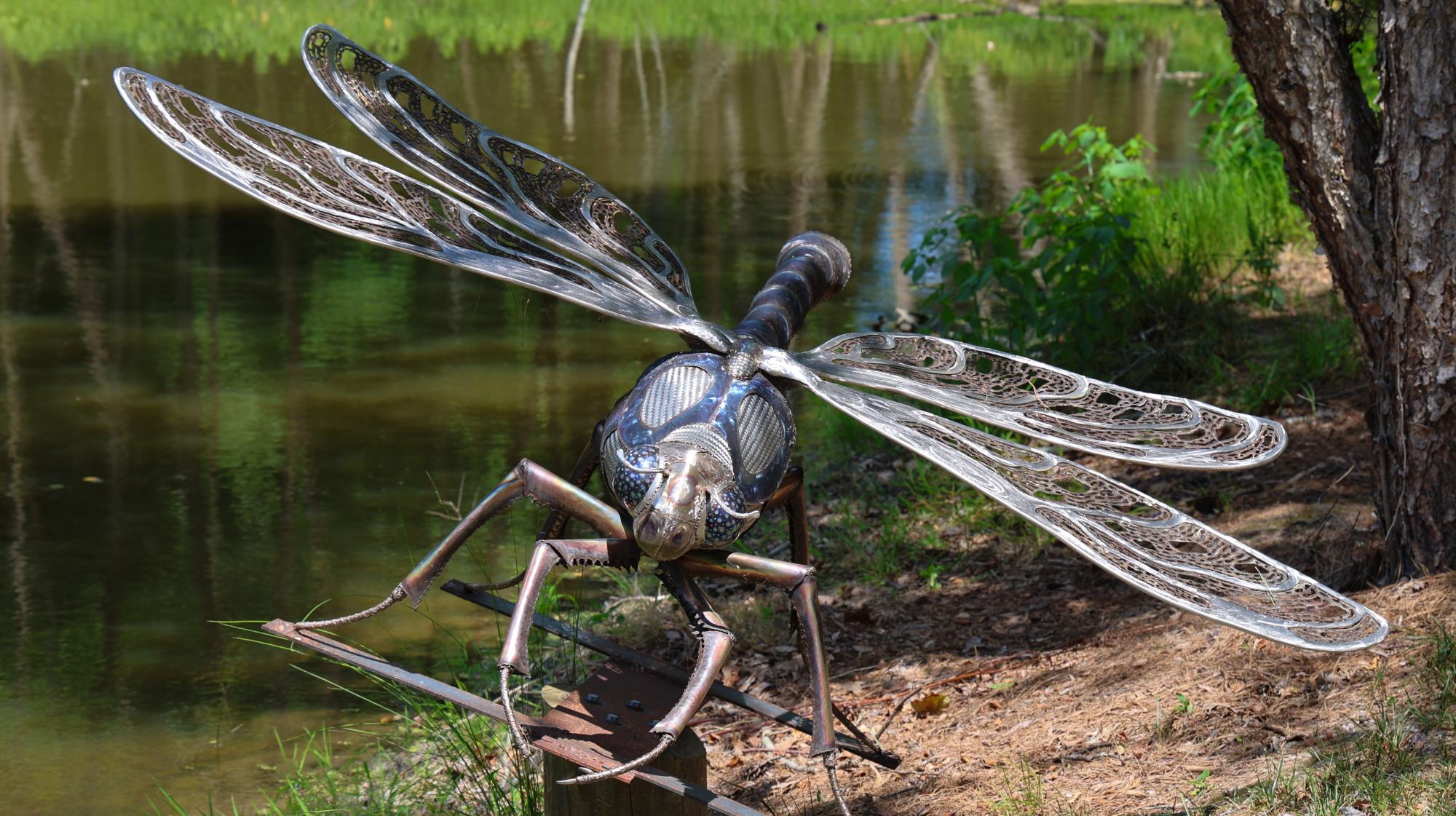 Dragon Fly