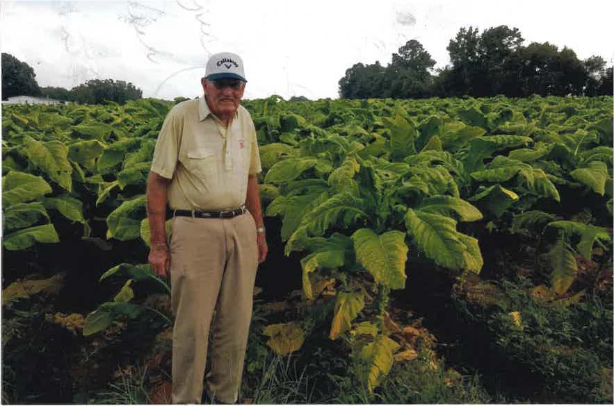 Frederick Hopkins and tobacco plant